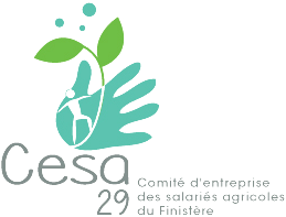logo cesa 29